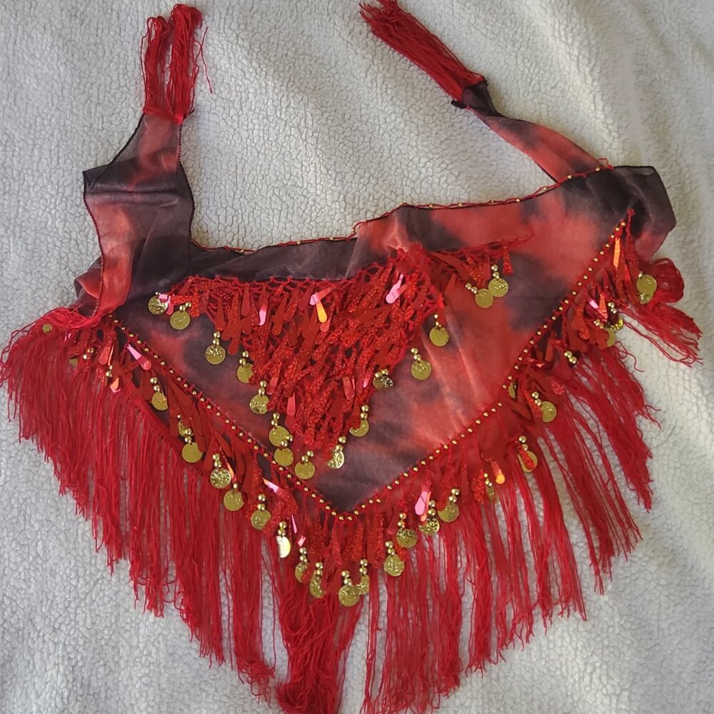 🆕️ Hip Scarf with Tassels Sequins, Triangle Coins Wrap Skirt NWOT - Picture 3 of 5